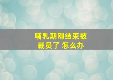 哺乳期刚结束被裁员了 怎么办